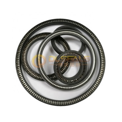 DLseals PTFE SS304 spring energized seals