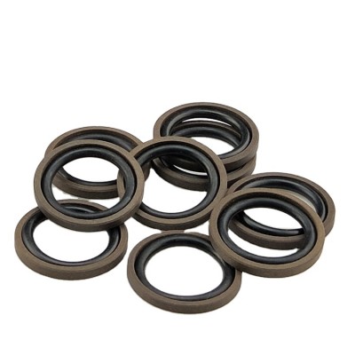 Bronze filed PTFE brown color Compact Seal Style GSF Glyd Rings Piston seal