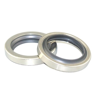 DLSEALS PTFE SS304 LipS Oil Sealsfor air compressor