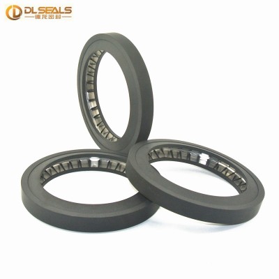 DLSEALS high-quality PTFE+SS316 spring energized seal seals for pipes nps3 sch40 swivel joint  suitable for chemical use