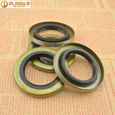 Shaft Oil Seal Double Lip TB outer metal case Tb Oil Seal