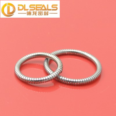 DLseals factory Stainless steel 304 canted coil spring for seals