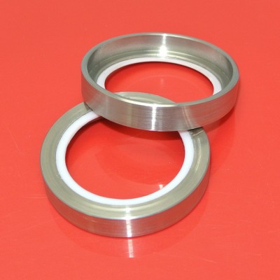 Vacuum pump PTFE rotary seals